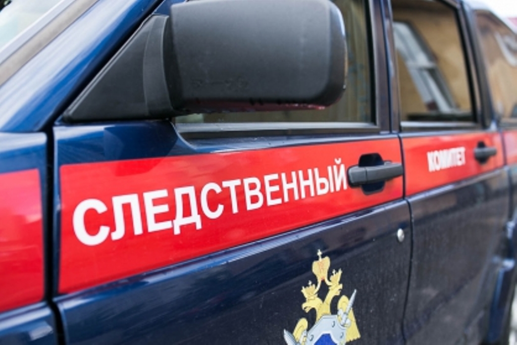 В Смоленске возбуждено уголовное дело о превышении должностных полномочий органами опеки