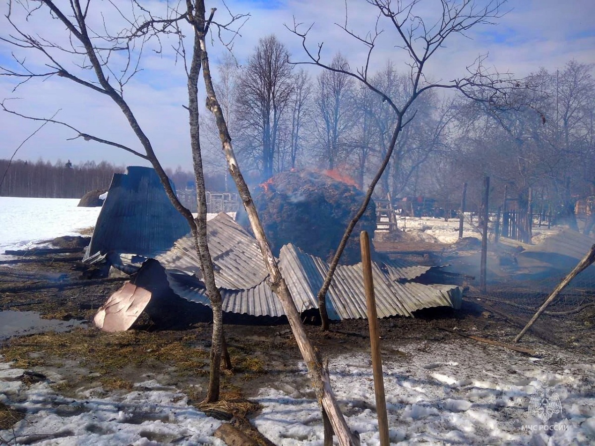 В Вяземском районе в результате пожара погибли 85 домашних животных