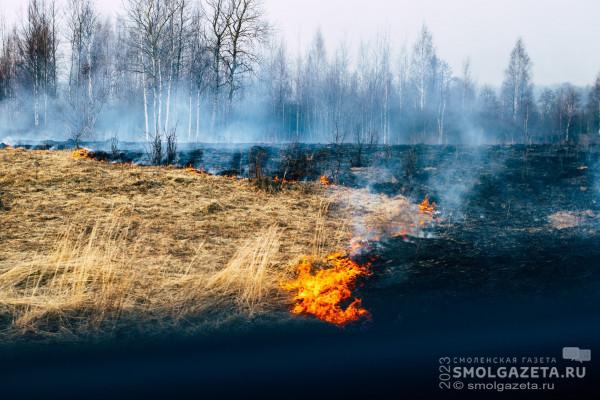 В Смоленской области за сутки зафиксировали 51 пал сухой травы