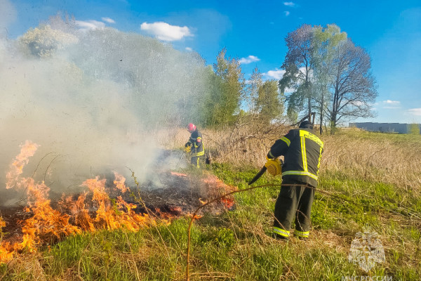 В Смоленской области за сутки выявили восемь палов сухой травяной растительности
