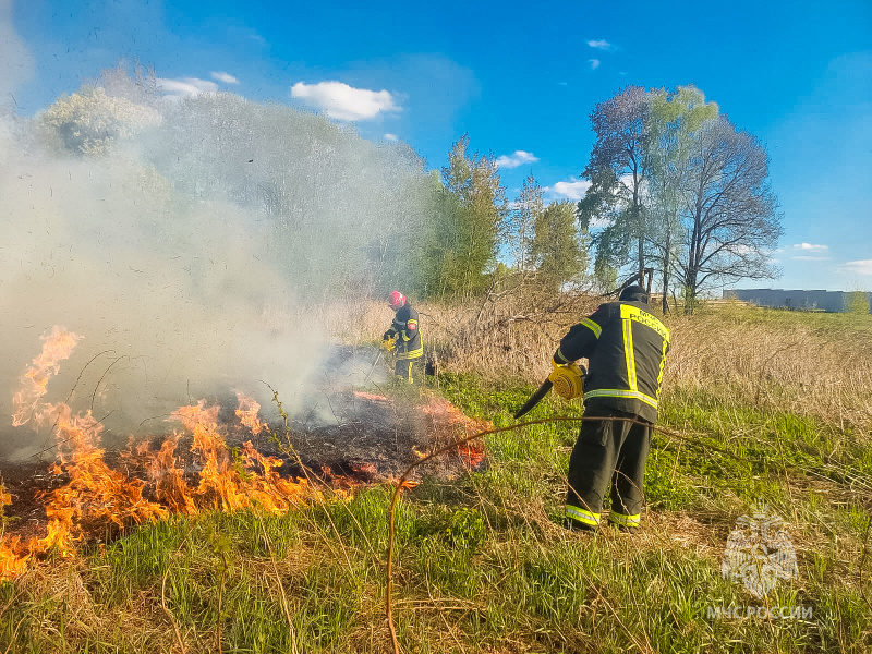 1144 ландшафтных пожара произошло в Смоленской области с начала года