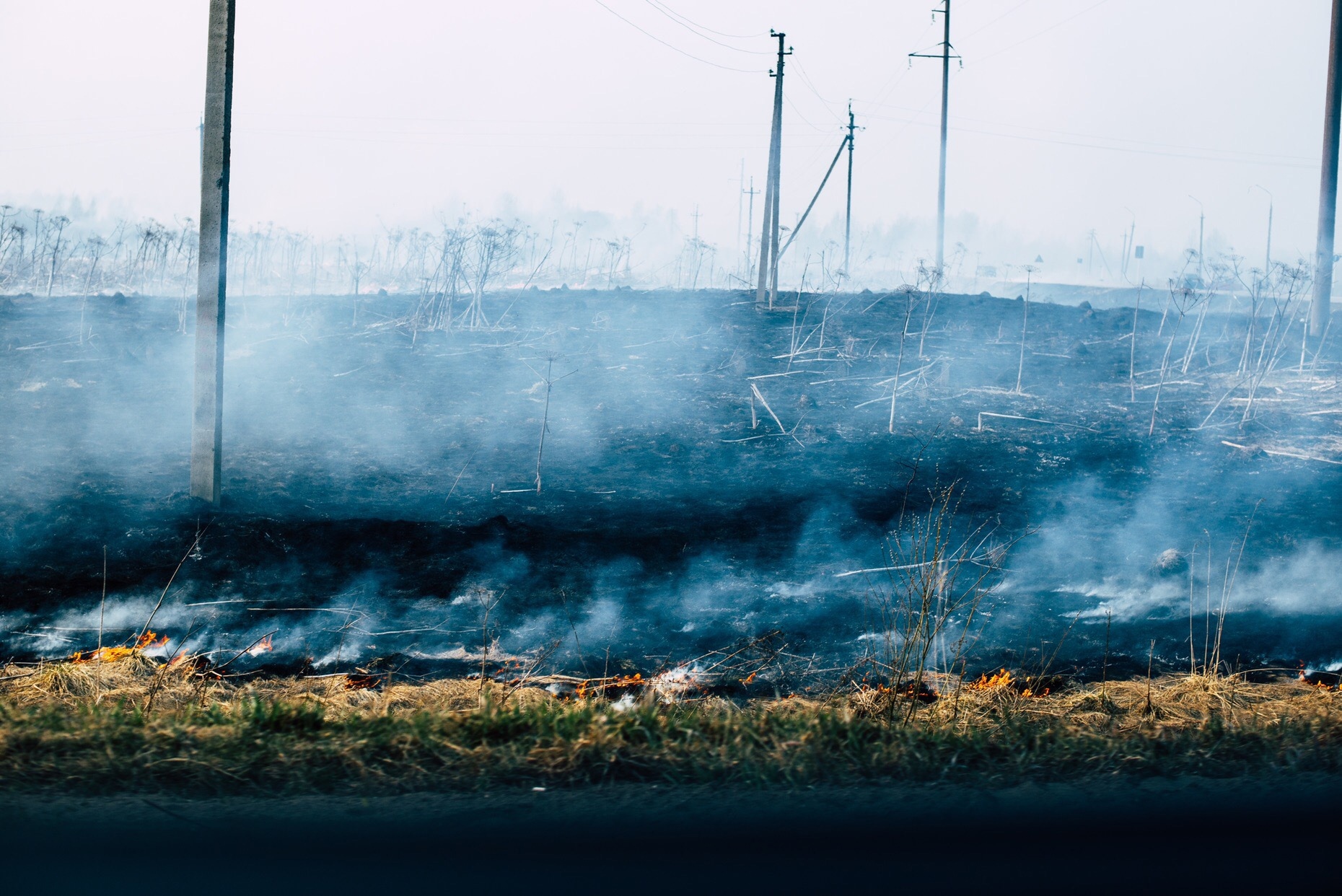 В Смоленской области продлили «жёлтый» уровень погодной опасности из-за риска пожаров