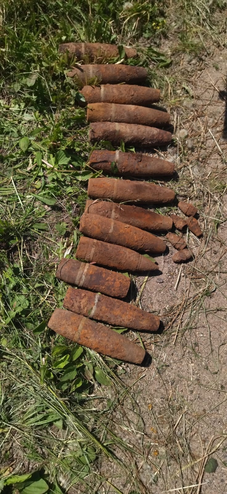 В Смоленской области обезвредили 19 взрывоопасных предметов времён Великой Отечественной войны