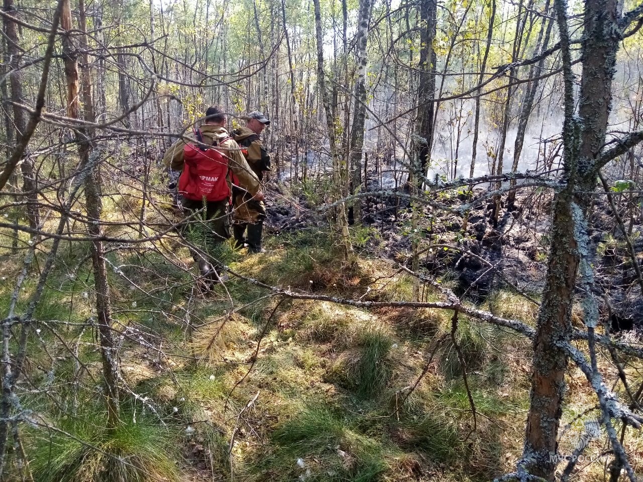 В Новодугинском районе идет ликвидация лесного пожара