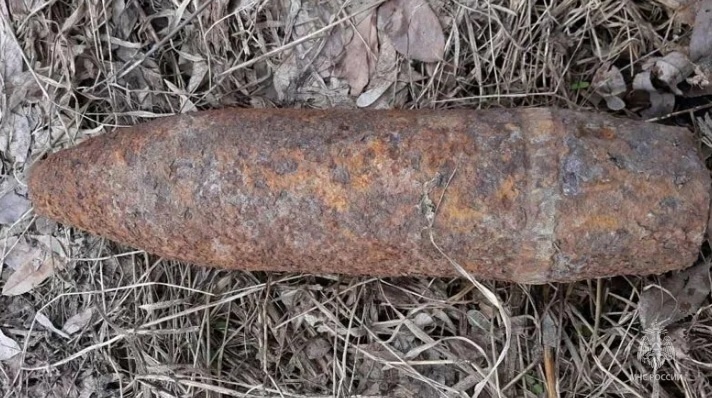 Более шестидесяти артиллерийских снарядов времен войны нашли в Руднянском районе
