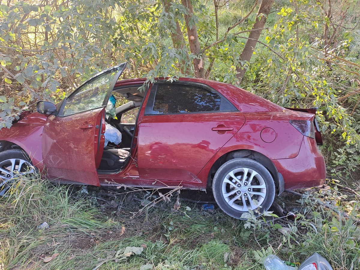 В Починковском районе автомобиль KIA столкнулся с деревом