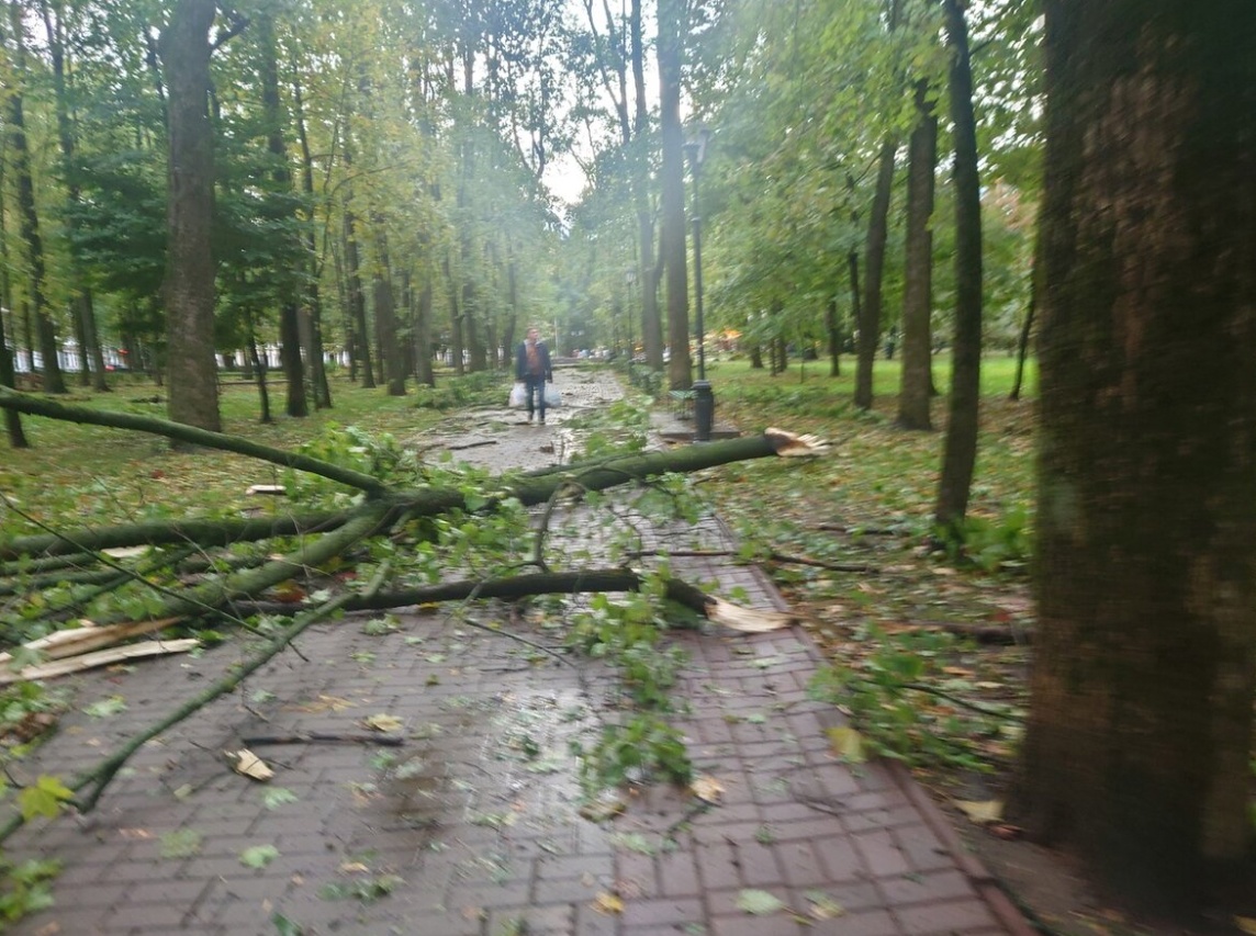 9 октября в Смоленской области сохранится порывистый ветер
