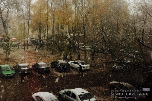 29 октября в Смоленской области пройдет мокрый снег