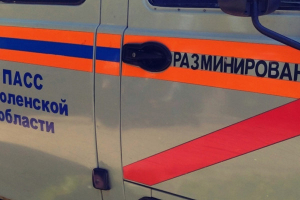 В Ельнинском районе Смоленской области сапёры обезвредили мину