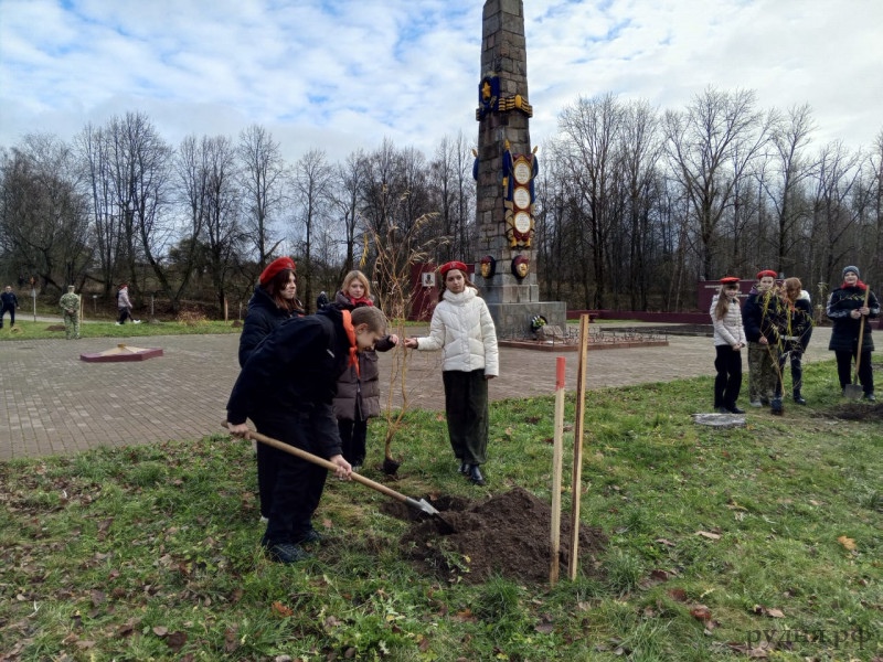 На мемориале в Микулино высадили плакучие ивы