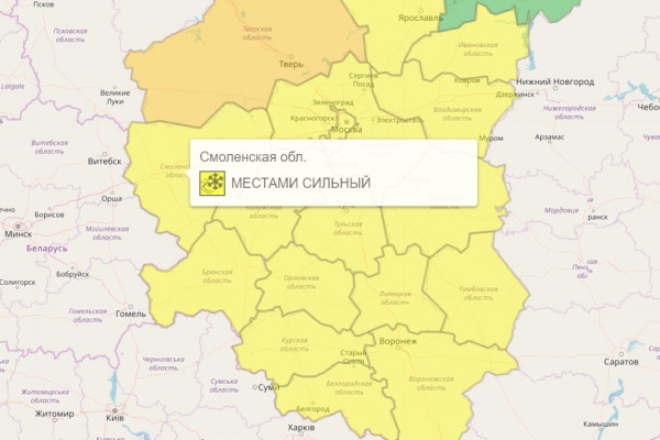«Жёлтый» уровень опасности из-за сильного снега объявят в Смоленской области