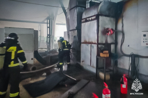 В Смоленской области на одном из предприятий Десногорска случился пожар