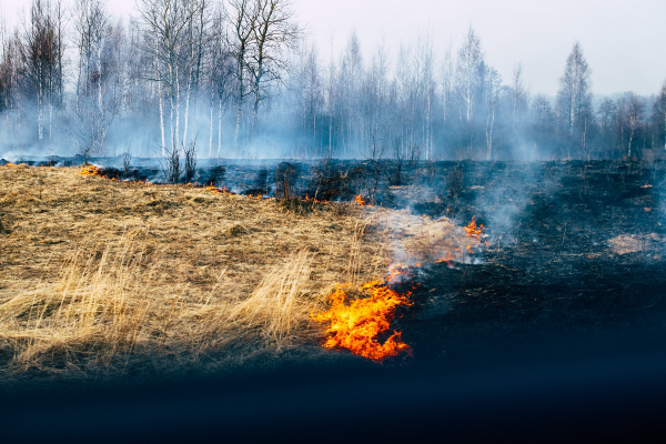 В Смоленской области стартовала федеральная информационная противопожарная кампания