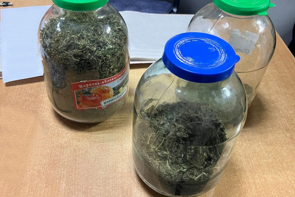 В Смоленске у местного жителя изъяли марихуану