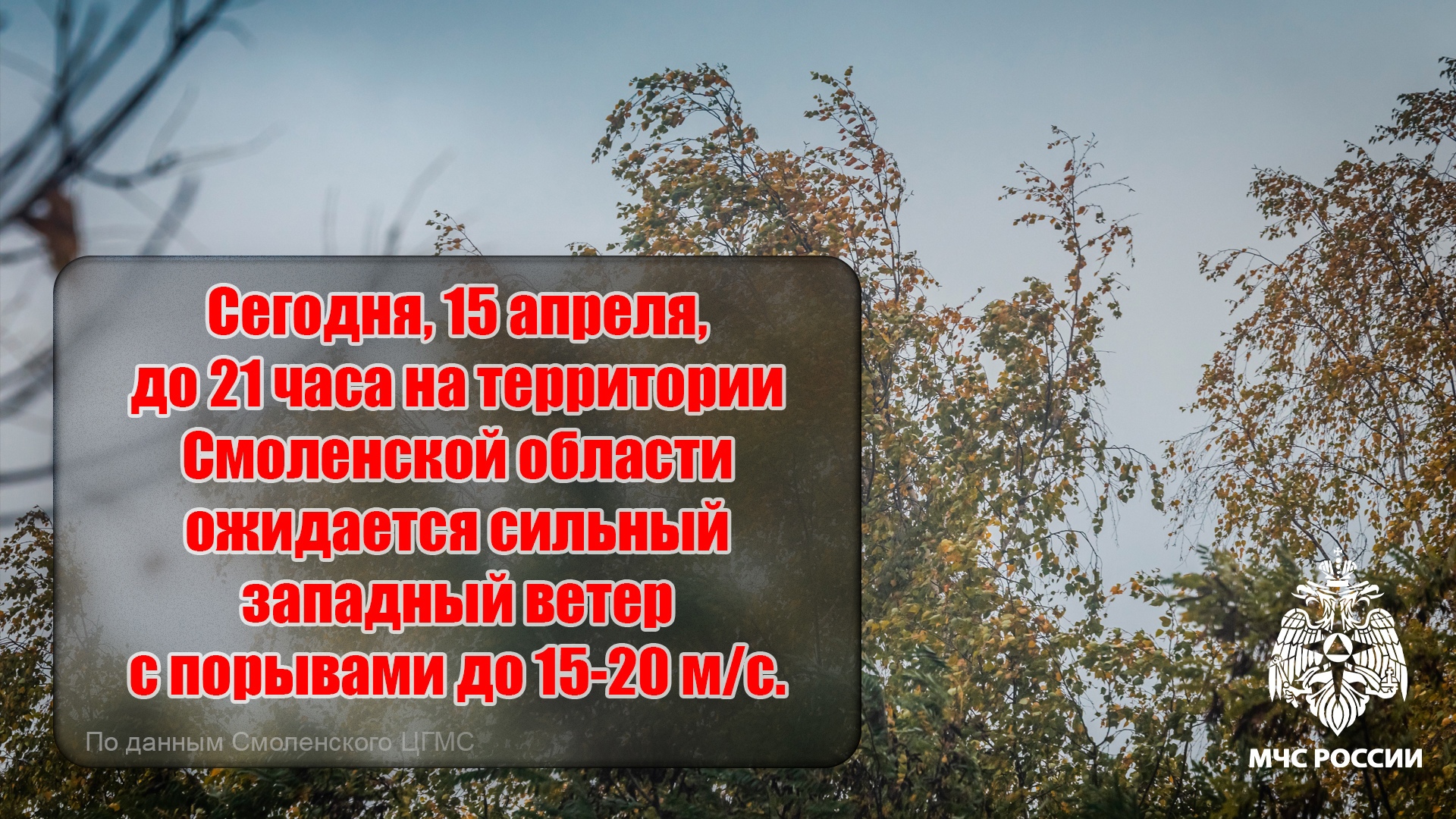 Жителей Смоленской области предупреждают об ухудшении погодных условий